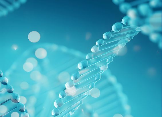 開煉機 & 密煉機雙雄齊發,瑋祥機械賦能橡塑智造新引擎!